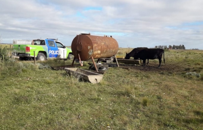 Recuperaron un tanque robado de un campo en el Paraje Querandes